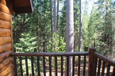 19380 Ponderosa Drive, Pioneer, CA 95666 - Photo 57