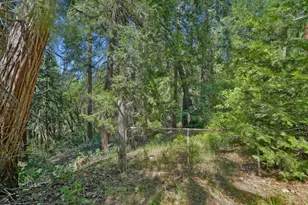4681 Glenwood Dr, Camino, CA 95709 - Photo 1