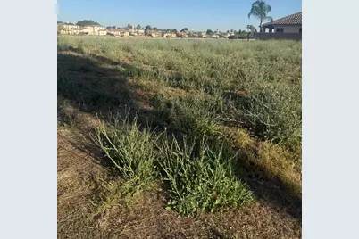 8255 Lake Shore Drive, Chowchilla, CA 93610 - Photo 3