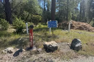 12767 Newtown Rd, Nevada City, CA 95959 - Photo 41
