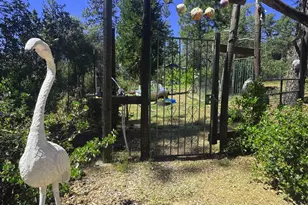 12767 Newtown Rd, Nevada City, CA 95959 - Photo 25