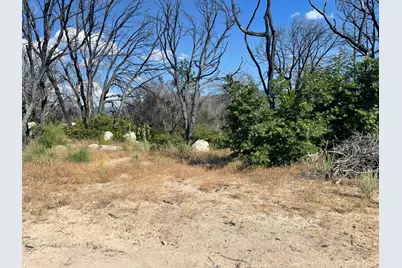 55 Cedar Tree Lane, Oroville, CA 95966 - Photo 1