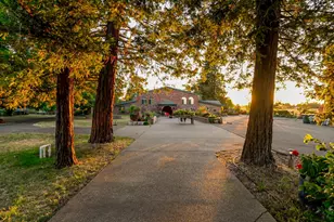 12900 Ivie Rd, Herald, CA 95638 - Photo 81