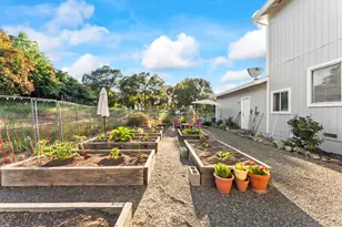 15440 Barney Rd, Plymouth, CA 95669 - Photo 41
