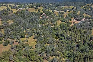 6287 Oak Hill Rd, Placerville, CA 95667 - Photo 57