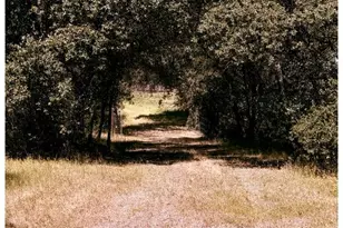 6289 Bald Mountain Rd, Browns Valley, CA 95918 - Photo 3