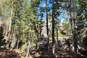 0 State Hwy 4, Murphys, CA 95223 - Photo 1