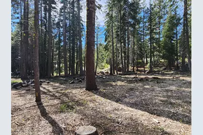 0 State Highway 4, Murphys, CA 95223 - Photo 3
