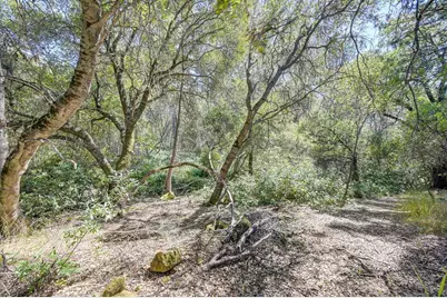 0 Conifer, Auburn, CA 95602 - Photo 3