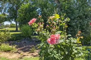 199 Briarcliff Dr, Folsom, CA 95630 - Photo 57