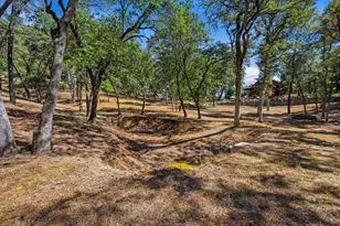 20581 Buck Ridge Rd, Grass Valley, CA 95949 - Photo 73