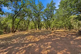 20581 Buck Ridge Rd, Grass Valley, CA 95949 - Photo 75