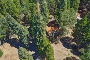 740 Hideaway Loop, Alta, CA 95701 - Photo 79