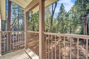 740 Hideaway Loop, Alta, CA 95701 - Photo 35