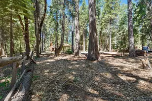 740 Hideaway Loop, Alta, CA 95701 - Photo 53