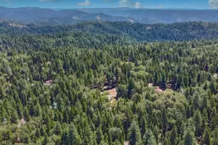 740 Hideaway Loop, Alta, CA 95701 - Photo 81