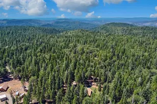 740 Hideaway Loop, Alta, CA 95701 - Photo 83