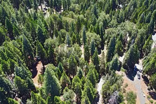 740 Hideaway Loop, Alta, CA 95701 - Photo 77