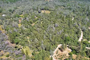 9198 Winding Way, Oregon House, CA 95962 - Photo 59