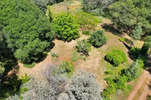 9198 Winding Way, Oregon House, CA 95962 - Photo 65