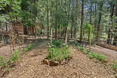 11897 Banner Court, Nevada City, CA 95959 - Photo 63