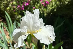 11897 Banner Ct, Nevada City, CA 95959 - Photo 75