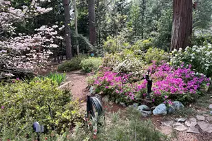 11897 Banner Ct, Nevada City, CA 95959 - Photo 67