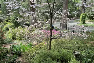 11897 Banner Ct, Nevada City, CA 95959 - Photo 71