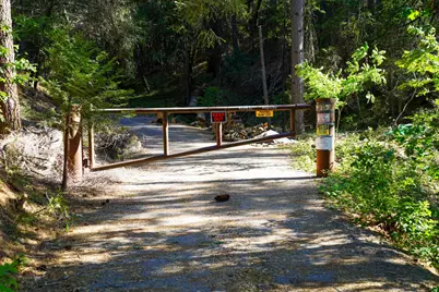 30220 Magra Road, Gold Run, CA 95717 - Photo 45