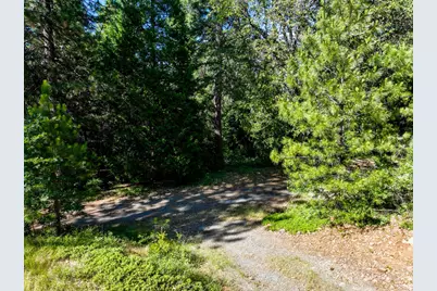 30220 Magra Road, Gold Run, CA 95717 - Photo 17