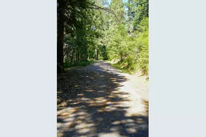 30220 Magra Road, Gold Run, CA 95717 - Photo 37