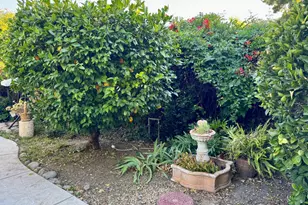 416 Crescent Dr, Los Banos, CA 93635 - Photo 55