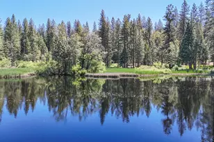 192 Vireo Wy, Avery, CA 95224 - Photo 47