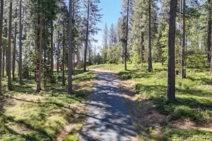 192 Vireo Wy, Avery, CA 95224 - Photo 47