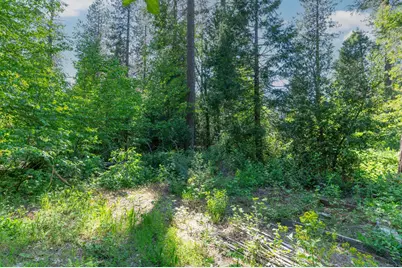 2397 Cedar Lane, Arnold, CA 95223 - Photo 43