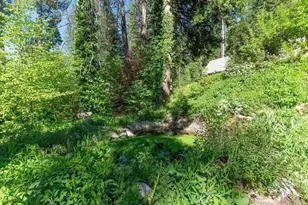 2397 Cedar Ln, Arnold, CA 95223 - Photo 39
