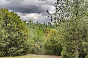18461 Shake Ridge Rd, Sutter Creek, CA 95685 - Photo 63