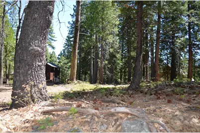 3112 Apache Road, Arnold, CA 95223 - Photo 15