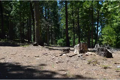 3112 Apache Road, Arnold, CA 95223 - Photo 5