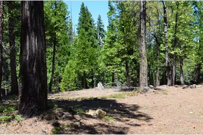 3112 Apache Road, Arnold, CA 95223 - Photo 3