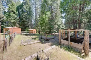 28722 Wood Rd, Pioneer, CA 95666 - Photo 29
