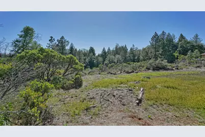 2824 Mace Road, Camino, CA 95709 - Photo 57