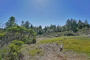2824 Mace Rd, Camino, CA 95709 - Photo 57