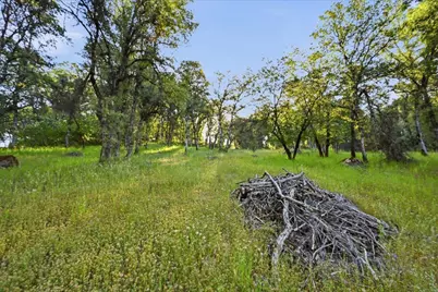 16095 Auburn Road, Grass Valley, CA 95949 - Photo 17