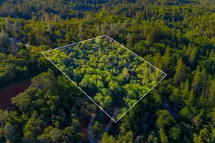 16095 Auburn Rd, Grass Valley, CA 95949 - Photo 1