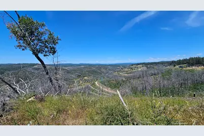 24920 Saddleback Lane, Colfax, CA 95713 - Photo 3