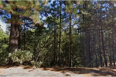 609 Canyon View Drive, Hathaway Pines, CA 95233 - Photo 1
