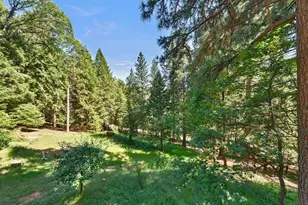 2790 Birdwalk Ln, Pollock Pines, CA 95726 - Photo 35