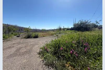 10340 Grizzly Flat Road, Grizzly Flats, CA 95636 - Photo 11