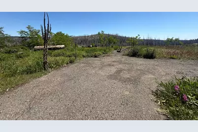 10340 Grizzly Flat Road, Grizzly Flats, CA 95636 - Photo 9